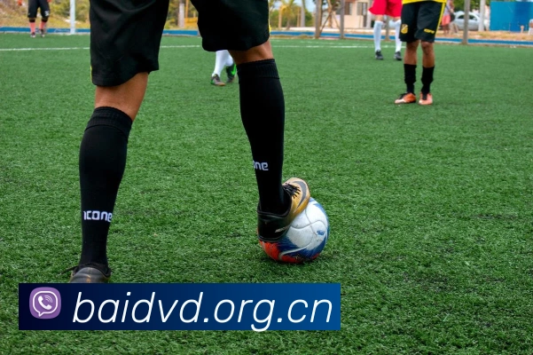 多媒体互动体验